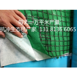 青海环保草毯 稻草绿化毯 植物纤维毯 生态毯 秸秆植被毯缩略图