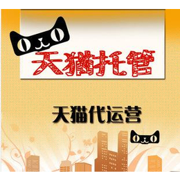 天猫运营、云溪区天猫运营、拓宽网络(查看)