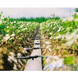 滴灌设备厂家,安徽安维节水灌溉技术,江苏滴灌