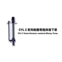 CYL液下泵|资阳耐高温液下泵|江苏长凯机械(查看)