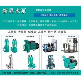 新县污水泵、泵、新界水泵上市公司各种泵型号齐全 *