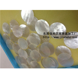 佳禾贝壳表面(图)|广灵贝壳厂家|贝壳