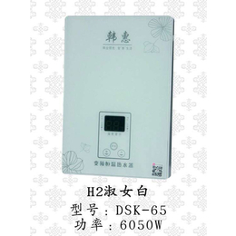 韩惠电器(图),家庭电热水器,禅城区热水器