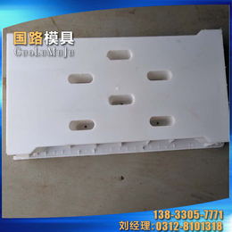 塑料盖板模具定做、荆州塑料盖板模具、国路模具制造