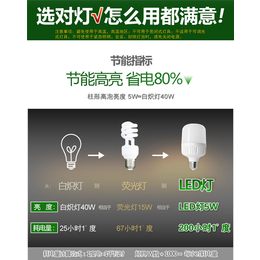 led球泡批发,天蝎电器—品牌厂家,台州led球泡