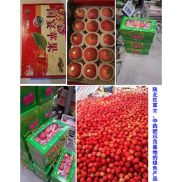 苹果花前喷施苹果叶面肥|拜农生物(在线咨询)|苹果叶面肥