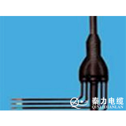 西安预分支电缆,陕西电力电缆厂,预分支电缆厂家
