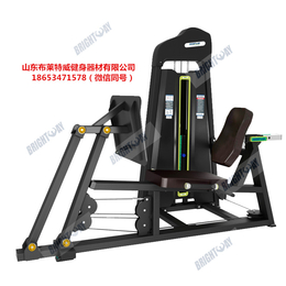 武汉市山东布莱特威健身器材--商用单功能必确系列