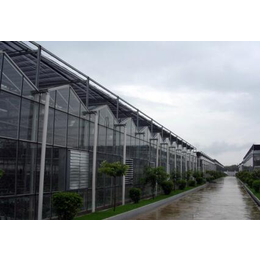 鑫华生态农业|温室|温室工程