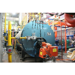 液化气锅炉改造方案、施安锅炉承包、定温液化气锅炉