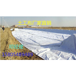 安阳厂家供应白色高强度土工布 聚酯玻纤布