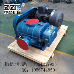 ZZR175罗茨鼓风机 厂家*污水处置水产养殖曝气气体输送
