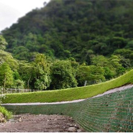 贵州蜂巢植草护坡土工格室 蜂巢植草护坡土工格室 厂家报价