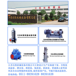 安顺立式管道泵|江苏长凯机械公司|立式管道泵厂家