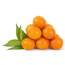  生态农产品 有机蔬菜食物  柑橘缩略图