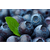 供应厂家*美国进口浓缩果汁蓝莓浓缩汁缩略图2