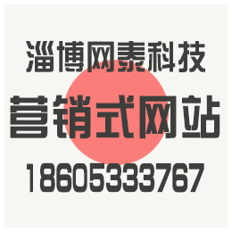 淄博营销型网站建设价格、张店营销型网站建设、淄博网泰科技