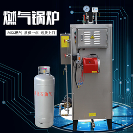 旭恩蒸汽发生器商用小型*液化气煤气燃气蒸汽锅炉80kg