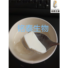 固体酸奶发酵剂引进国外*