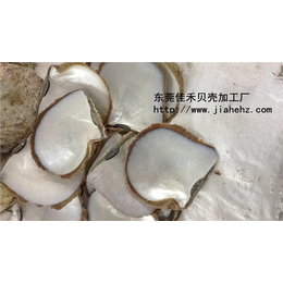 佳禾贝壳表面(图)|石龙贝壳厂家|贝壳