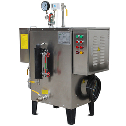 旭恩24KW小型商用蒸气锅炉电热电加热全自动蒸汽发生器