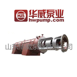 轴流泵生产厂家 山东华威 厂家* 轴流泵RYB1500-5