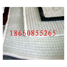 儒风土工(图)|水利膨润土防水毯|膨润土防水毯