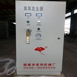 臭氧发生器规格_北京臭氧发生器_宏利环保设备(查看)