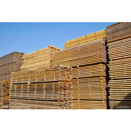 木材进口 服务 木材信息
