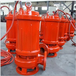 RQW电厂高温排污泵_供暖耐热潜水泵