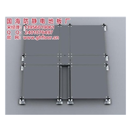 国海防静电地板(图)、架空防静电地板支架、铜陵防静电地板