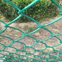 体育场勾花网护栏 包塑勾花网  动物园墨绿色勾花防护网缩略图