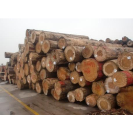 天津港木材进口清关时间