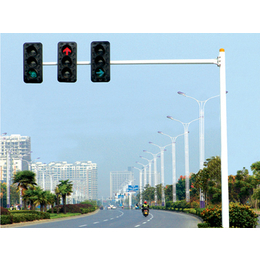 人行横道交通信号灯、祥霖照明(在线咨询)、交通信号灯