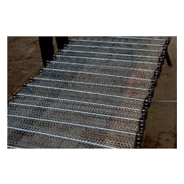 扬州链寶泉(图),不锈钢网带供应商,天全县不锈钢网带