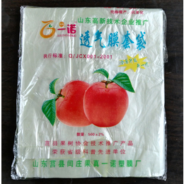 常兴塑膜(图)|塑膜苹果袋批发价|塑膜苹果袋