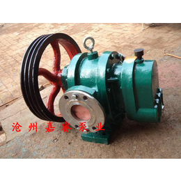 嘉睿泵业供应LC18-0.6罗茨泵 不阻塞铸铁卧式电动罗茨泵
