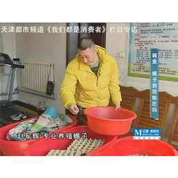 保定东亚钳蝎|军辉养殖|东亚钳蝎食用