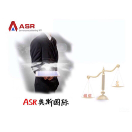 ASR奥斯全新平台值得你看的一条