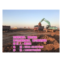 胶州租挖掘机公司、速捷机械化施工(在线咨询)、挖掘机
