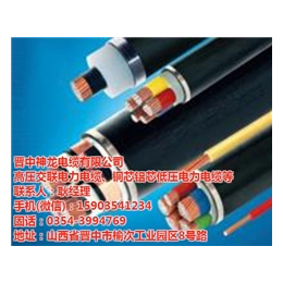 神龙电缆(图)|高压电力电缆批发|高压电力电缆