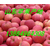 山东红富士苹果价格缩略图3