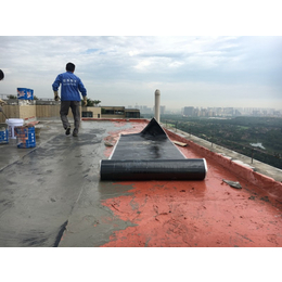 成都市屋顶防水工程施工 屋面防水 屋顶防水补漏 防水堵漏缩略图