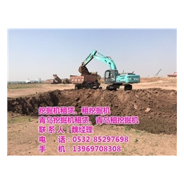 胶州租赁挖掘机公司(图),胶州出租微型挖掘机,挖掘机