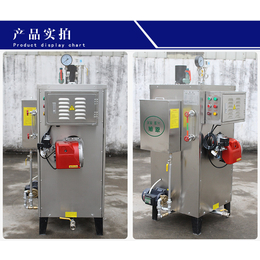 旭恩30kg燃气蒸汽锅炉商用天然液化气小型工业蒸汽发生器