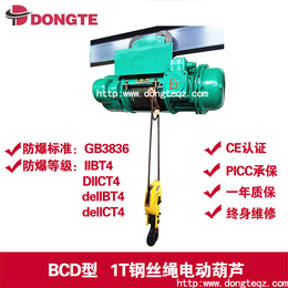 BCD型钢丝绳电动葫芦10吨6米-配置粉尘隔爆型电机