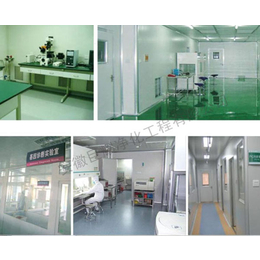 实验室净化公司,安徽巨耀(在线咨询),宣城实验室净化