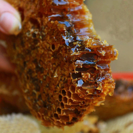 【宝鸭塘】、河北农家蜂蜜哪家比较好、廊坊农家蜂蜜
