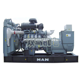 柴油发电机组型号|柴油发电机组|双马机电
