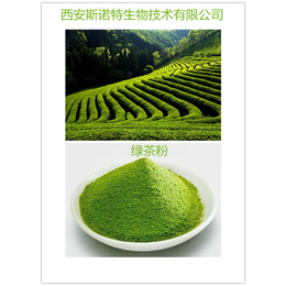 绿茶粉 绿茶提取物 烘焙食品原料 天然萃取